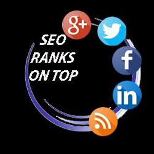 SEO Ranks On Top logo