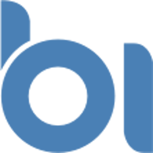 Binary Informatics logo