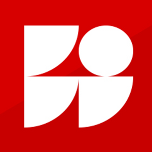 Flint Interactive logo