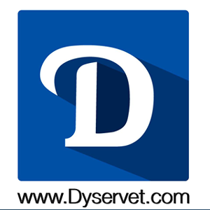 Dyservet.com logo