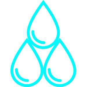 Roots Digital Media logo