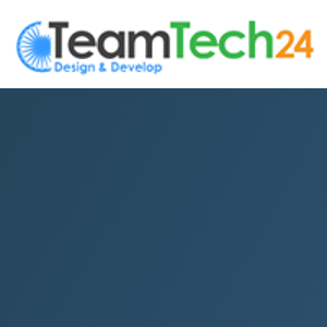 TeamTech24 logo