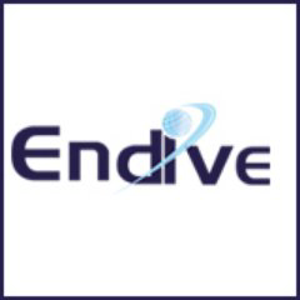Endive Software logo