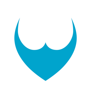 Vortex Commerce logo