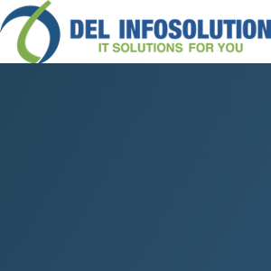 Del infosolution logo