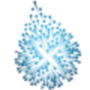 Intuitiva S.A.S. logo