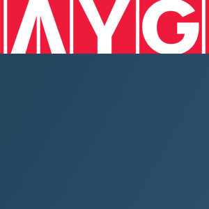 AYG Romania logo