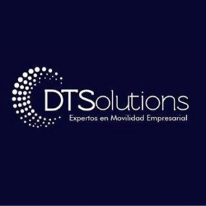 DTSolutions logo