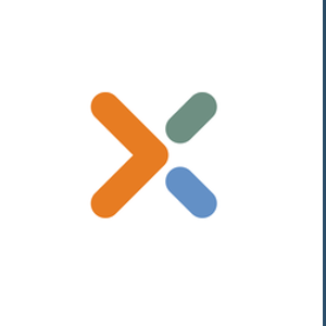 Experis Peru Logo logo