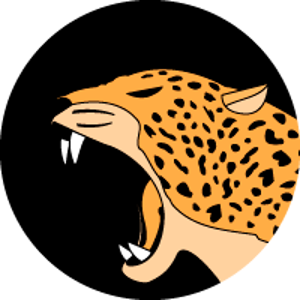 Jaguar Team logo