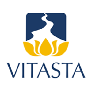Vitasta Consulting logo
