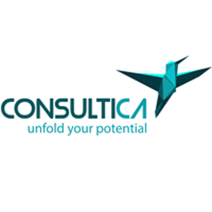 Consultica logo