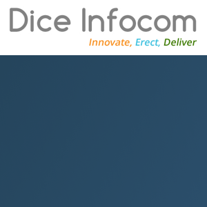 DICE INFOCOM PRIVATE LIMITED logo