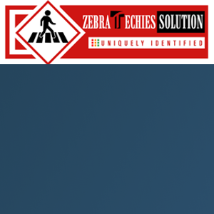 Zebra Techies Solution (ZTS) logo