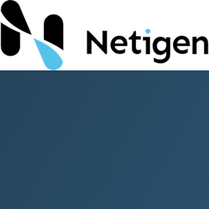 Netigen logo