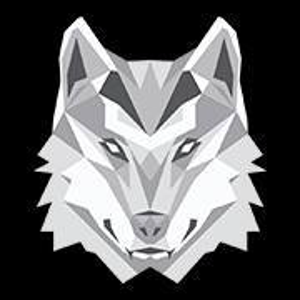 Black Wolf Digital logo