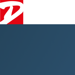D SIGNS LIMITED logo