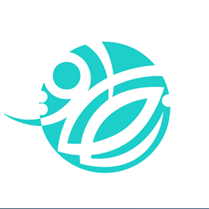 Netaq E-Solutions logo