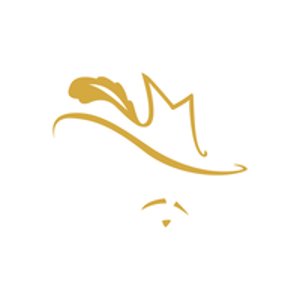 Media Musketeer logo
