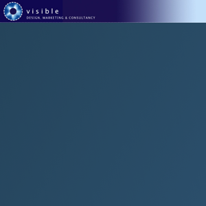 Visible Marketing logo