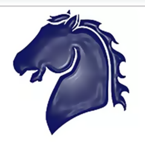 White Knight Consultants logo