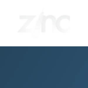 Zinc logo