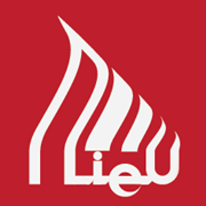 Lieusoft logo