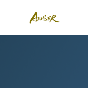 Amber Communications logo