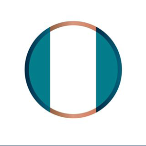 Copia Group logo