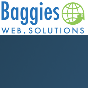 Baggies Web Solutions logo