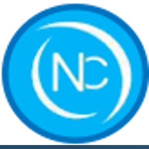 Nisar Consultants logo