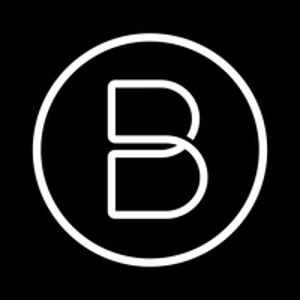 B/Ferraz logo