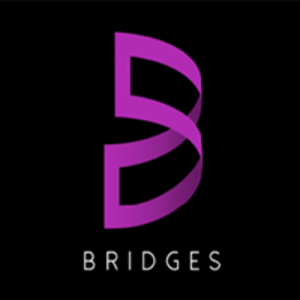 BRIDGES logo