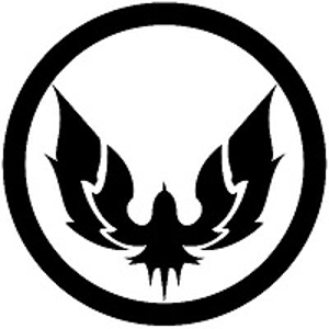C4DSTUDIO logo