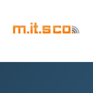M.IT.S Co. logo
