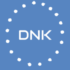 DNK Software logo