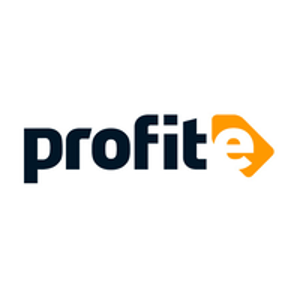PROFIT-E logo