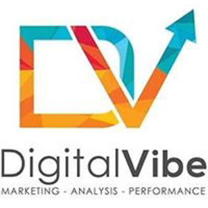 DigitalVibe logo