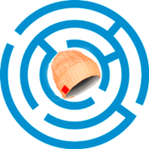 Coeficiente SRL logo
