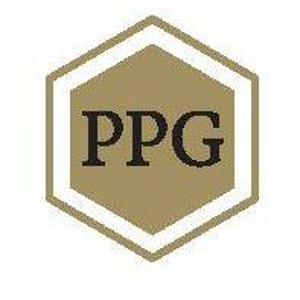 Persing Professional Group LLC logo
