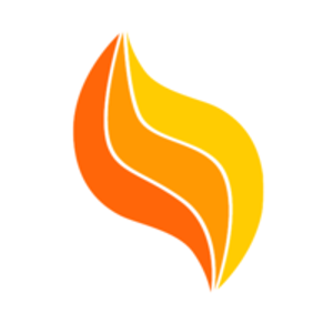 AVOR Consulting logo