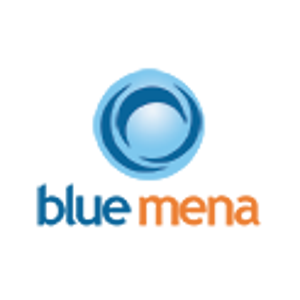 Blue Mena Group logo
