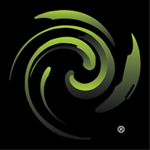 Digital Minds logo