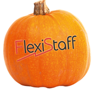Flexi-staff UK Ltd logo