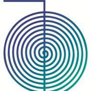 Icon Technology Projects &amp; Services logo