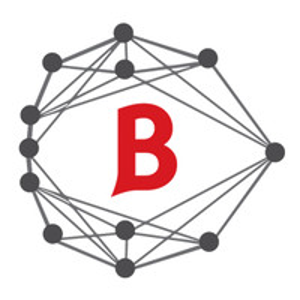Blockchain Expert Solutions logo