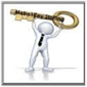 Metro1Key Staffing ,LLC logo