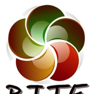 RITE Solutions Ltd. logo