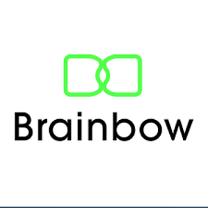 Brainbow logo