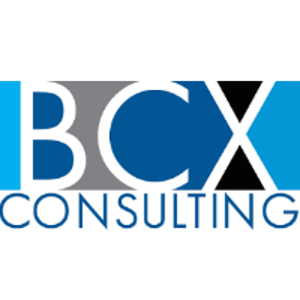 BCX Consulting logo